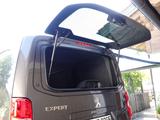 Peugeot Expert L2 Kastenwagen Camper Vorbereitung - Peugeot Expert aus 2023