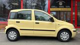 Fiat Panda 1.2 8V Classic - Fiat Panda: Gelb