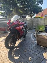 Triumph Daytona 660 - TRIUMPH DAYTONA 660