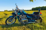 Suzuki VS 600 mit geringer Laufleistung - Angebote entsprechen deinen Suchkriterien