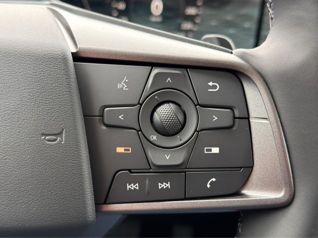 Nissan Leaf Evolve 75 kWh °PANO°HUD°Kamera°Navi°SHZ°