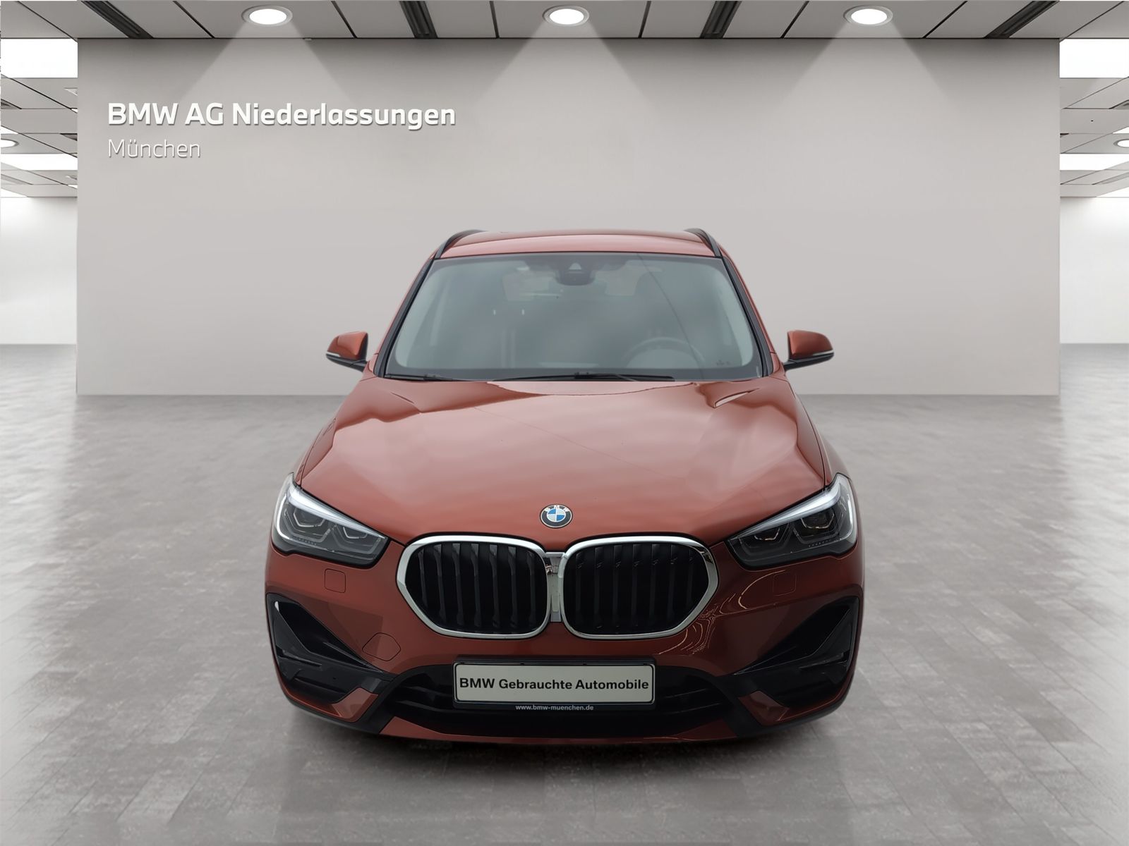 BMW X1 xDrive25d Sport Line Navi AHK Driv.Assist foto 3