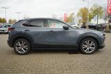 Mazda CX-30 2.0 M-Hybrid Selection LED Navi ACC Kamera - Mazda CX-30 Gebrauchtwagen