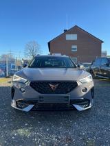 Cupra Formentor 2.0 TSI 140kW 4Drive DSG -