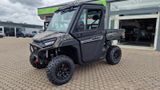 Odes Workcross 1000 3 Sitzer LED AHK Winde 94PS UTV - UTV