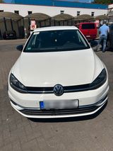 Volkswagen Golf 7 Automatik Diesel 1.6 Motor - Volkswagen Golf: V Motor
