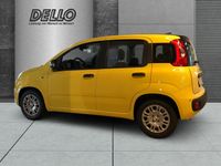 Fiat New Panda - Vorschau Bild 2