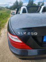Mercedes-Benz SLK 250 - - Mercedes-Benz SLK 250 mit Benzin-Antrieb