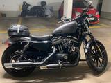 Harley-Davidson XL883N