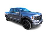 Ford F 150 5.0 V8 Aut. Black Ed. Rollo 24Zoll Radhaus - Ford F 150 Black Gebrauchtwagen
