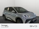 BYD DOLPHIN SURF Active - BYD Gebrauchtwagen in Berlin