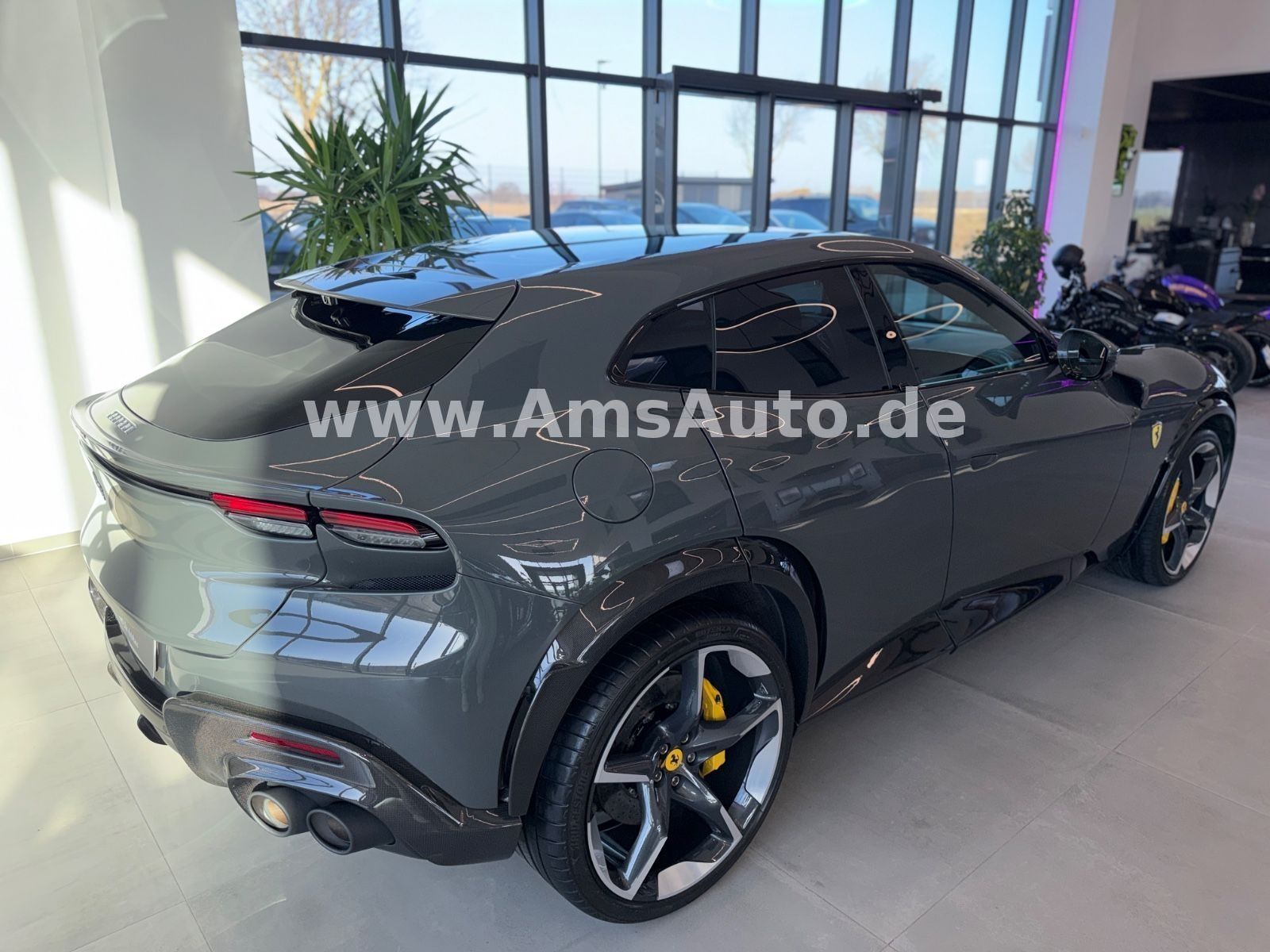 Purosangue Full Carbon Pano Massage