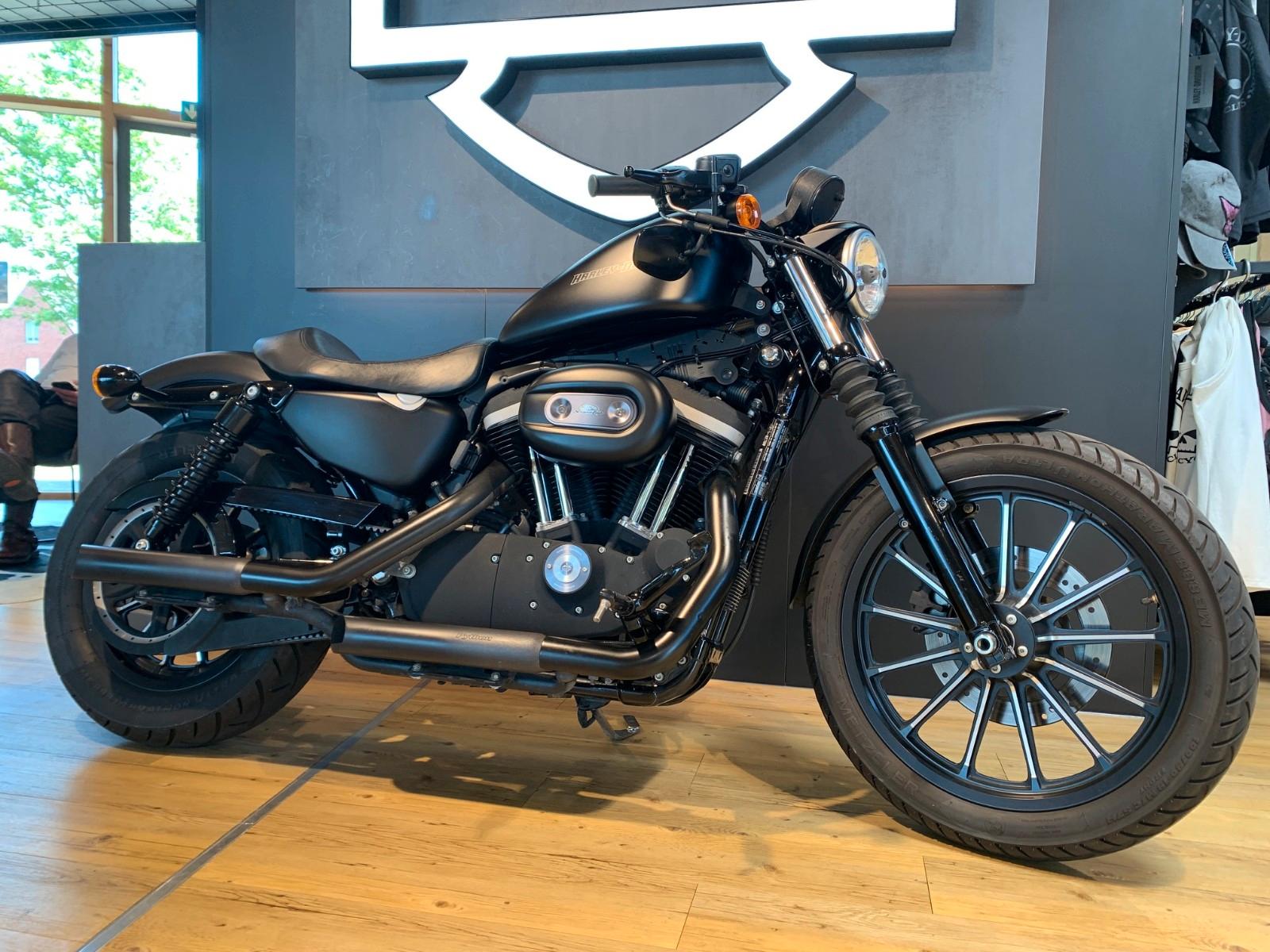 Harley-Davidson Sportster  Iron XL 1200