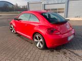 Volkswagen Vw BETTLE Top Zustand  tuv bis 03,2027  12... - Volkswagen Beetle: Kleinwagen