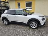 Citroën C4 Cactus PureTech 110 S&S Feel EAT6 Feel - Citroën C4 Cactus in Berlin
