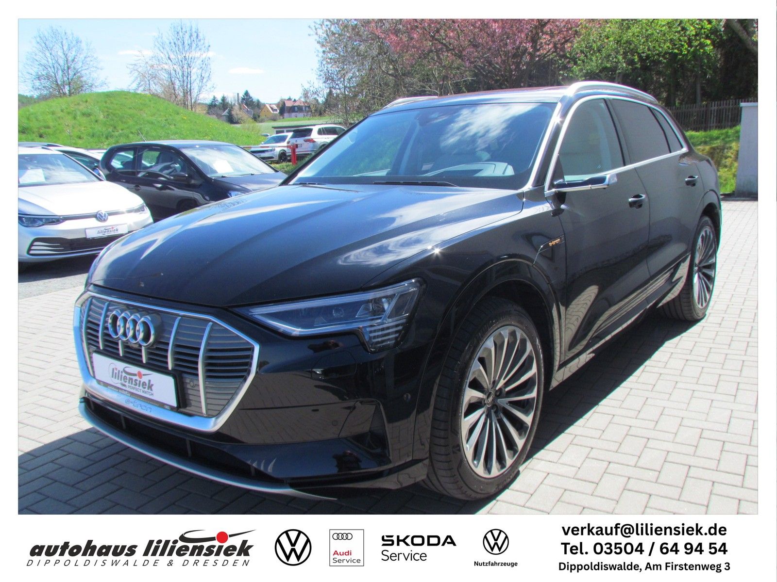 Audi e-tron 55 300 kW quattro advanced AHK B&O LED foto 4