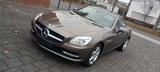 Mercedes-Benz SLK 200 Leder Airscarf Navi Panoramadach - Mercedes-Benz SLK-Klasse in Frankfurt (Main)