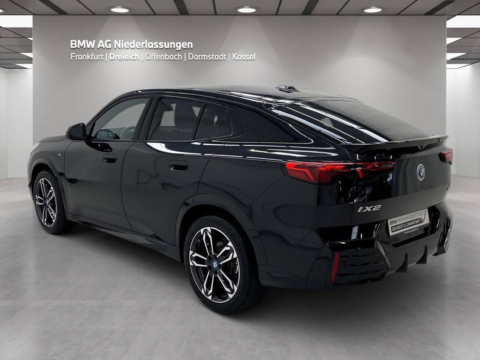 BMW iX2 xDrive30 M Sport AHK Driv.Assist.Prof LED foto 5