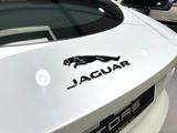 Jaguar F-Type 2.0 L P300 Turbo Chequered Flag Autom... - Jaguar F-Type von privat