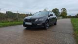 Skoda Octavia Kombi RS 5E 2.0 TDI DSG - Skoda Octavia: 2.5