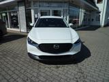 Mazda CX-30 2.5L e-SKYACTIV G 140 6MT FWD Prime-Line - gebrauchte Mazda SUV & Geländewagen