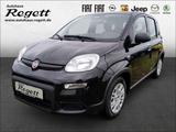 Fiat Panda 1.0 Mild-Hybrid EU6d *PDC*Klima*Bluetooth* - Fiat Panda Vorführfahrzeuge