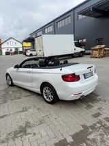 BMW 218i Cabrio Sport Line Sport Line - BMW 218 von privat