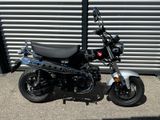 Honda DAX 125, ST 125 / 125er DEAL DAYS > 500 € SPAREN