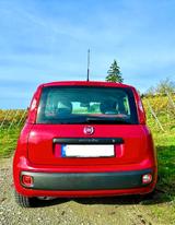 Fiat Panda 1.2 8V Pop - Fiat Panda: Schwarz