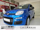 Fiat Pandina 1.0 GSE Hybrid ICON - Klima - sofort ver - blaue Fiat New Panda