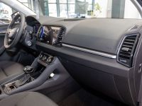 Skoda Karoq - Vorschau Bild 25