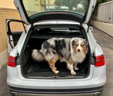 Audi A6 allroad 3.0 TDI 245 CV S tronic Business - gebrauchte Audi A6 Allroad aus dem Jahr 2012