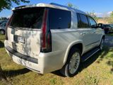 Cadillac Escalade 6.2 V8 Neu TÜV ( kein SRT, Tahoe) - Cadillac: Pickup