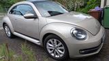 Volkswagen Beetle 1.2 TSI DSG CUP PANO NAVI - Volkswagen Beetle in Bonn