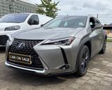 Lexus UX 250h Executive Line|NAVIGATION|LEDER|R-CAM| - Lexus aus 2022
