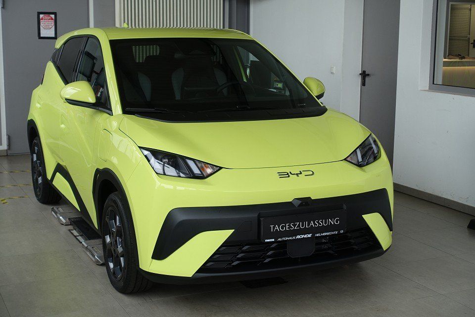 BYD DOLPHIN SURF