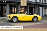 Austin Healey 100-6