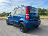 Fiat Panda 1.2 8V Dynamic Panoramadach - Fiat Panda Gebrauchtwagen in Krefeld