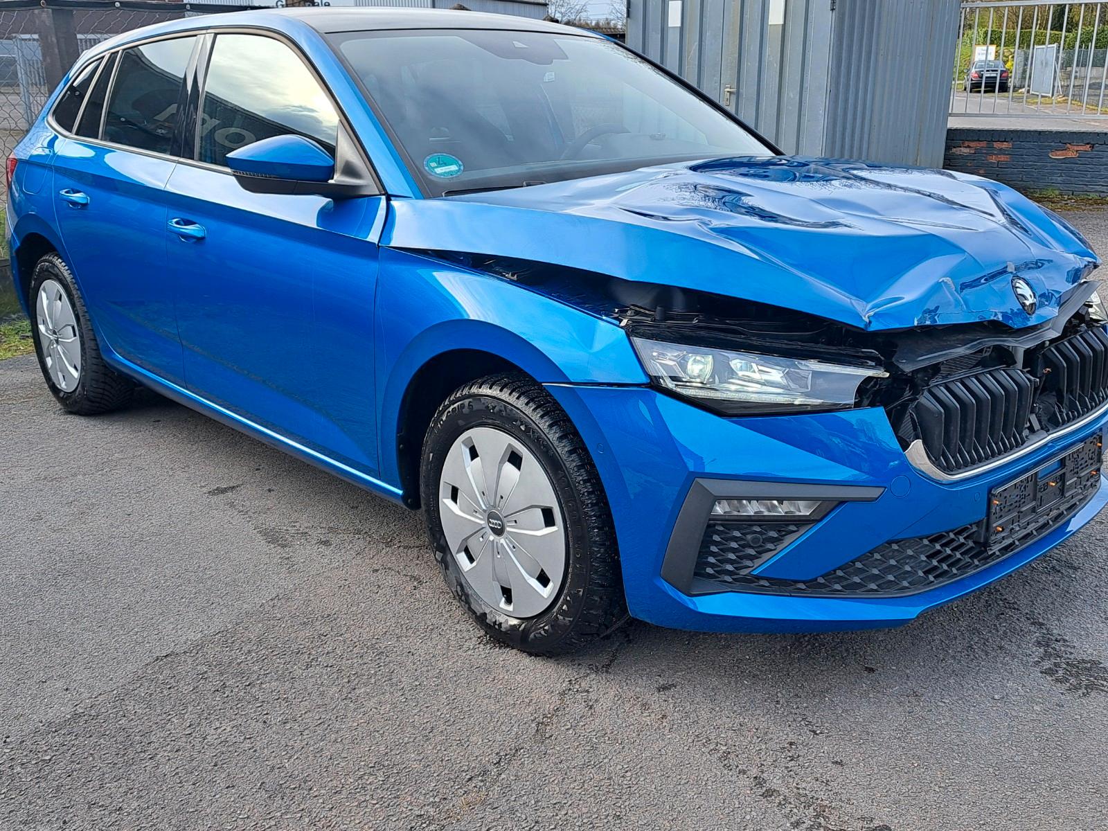 Skoda Scala Drive /Panorama/Navi/DAB/APP/Kamera/ELHeck