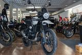 Royal Enfield Himalayan 450 ABS, Euro 5+, sofort lieferbar - Royal Enfield Himalayan 450