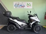 Quadro 4 - QUADRO MOTORRAD
