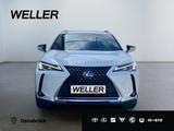 Lexus UX 250h Launch Edition *Navi*LED*CAM*Spurhalteas - Lexus UX Gebrauchtwagen