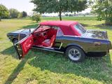 Ford Mustang T5 Frame of Restauration