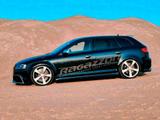 Audi RS3 8PA PPH KW V3 gepfeffert - Audi RS3: Kombi