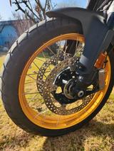 BMW R1300GS, 5 Pakete, nur 4226km - BMW R 42