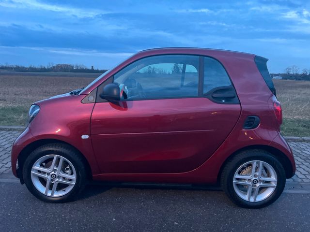 Smart fortwo EQ*klima*sitzheizung*tempomat*DAB*