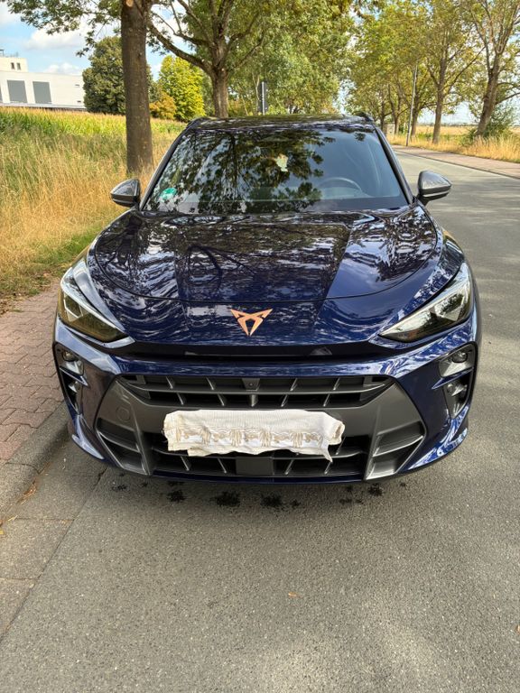 Image of Cupra Terramar