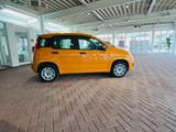 Fiat Panda Easy 1.2 Klima 1. Hand NR scheckh PDC - Fiat: Orange