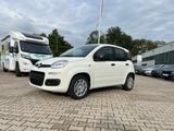 Fiat Panda Pandina 1.0 Icon *5 Sitzer Klimaanlage* - Fiat Panda Neuwagen