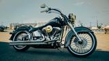 Harley-Davidson Softail Deluxe FLSTNI - HARLEY-DAVIDSON 2005 SOFTAIL DELUXE